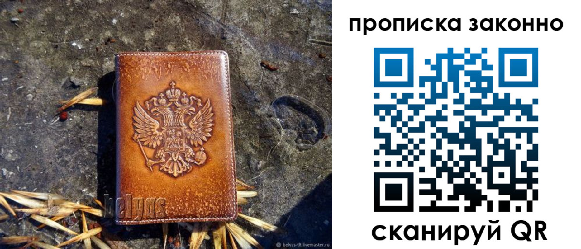 прописка паспорт в Жуковском